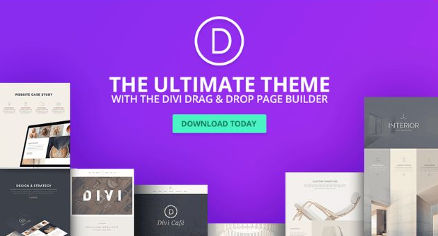 Divi WordPress Themes