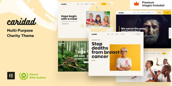 Caridad - Charity WordPress Theme