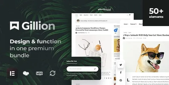 Gillion Theme | Multi-Concept Blog/Magazine & Shop WordPress AMP Theme